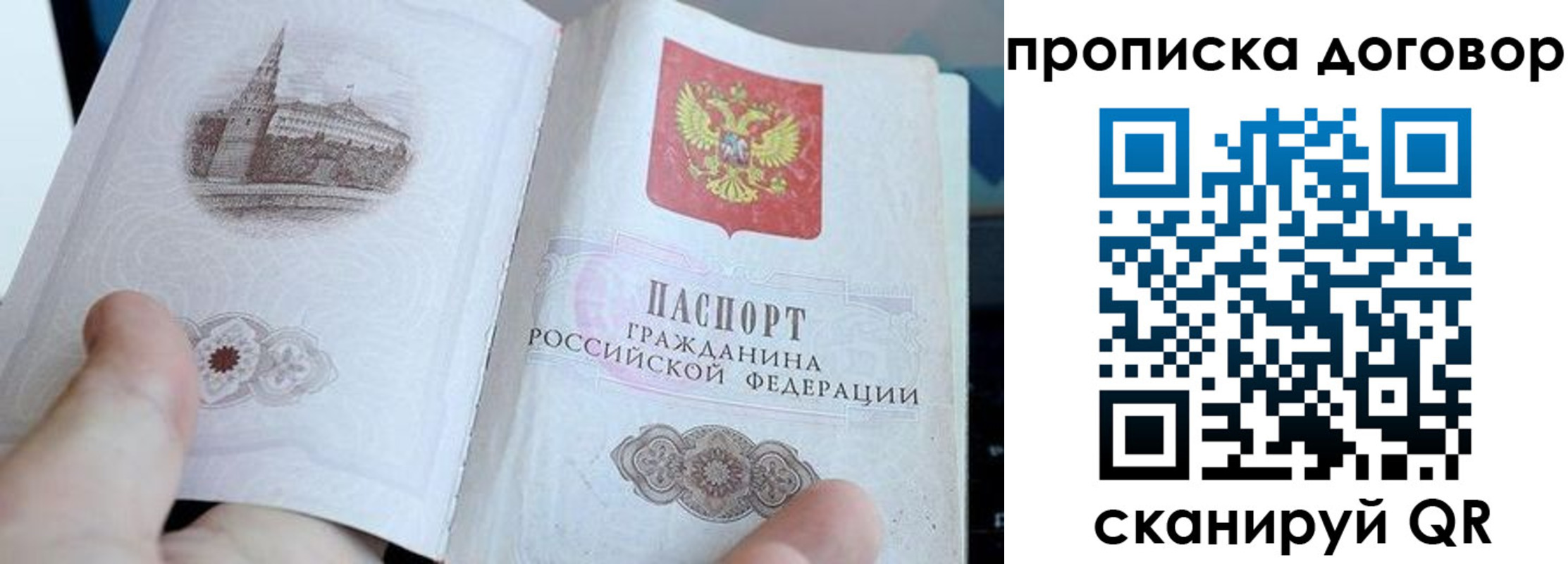 прописка в Полярных Зорях